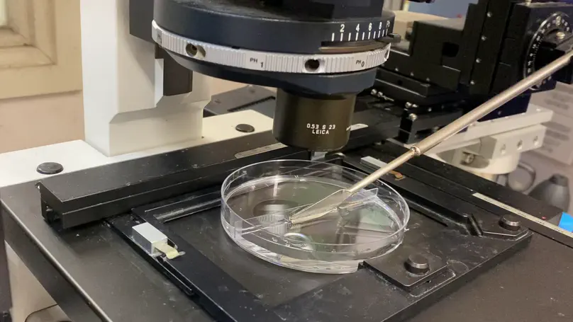 Micropipette and Microplate-based Technologies