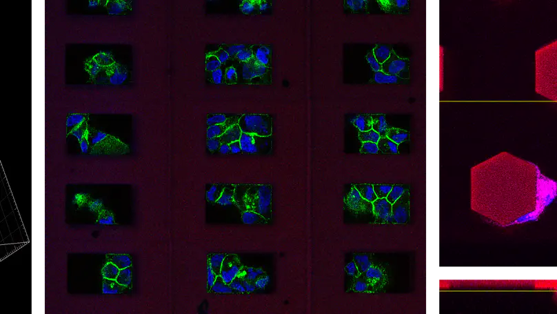 Multiplex Cell Niche Engineering