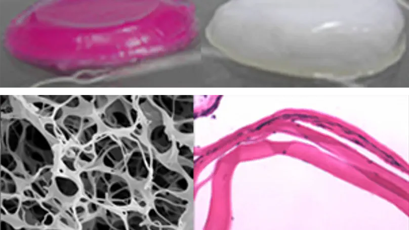 Photochemical Crosslinking