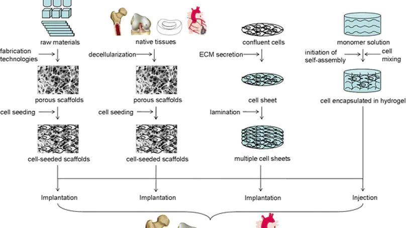 Scaffolding in Tissue Engineering: General Approaches and Tissue-Specific Considerations