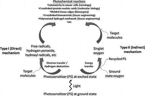 Applications Of Photochemistry In Daily Life