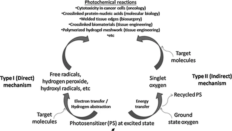 Biomedical Applications of Photochemistry
